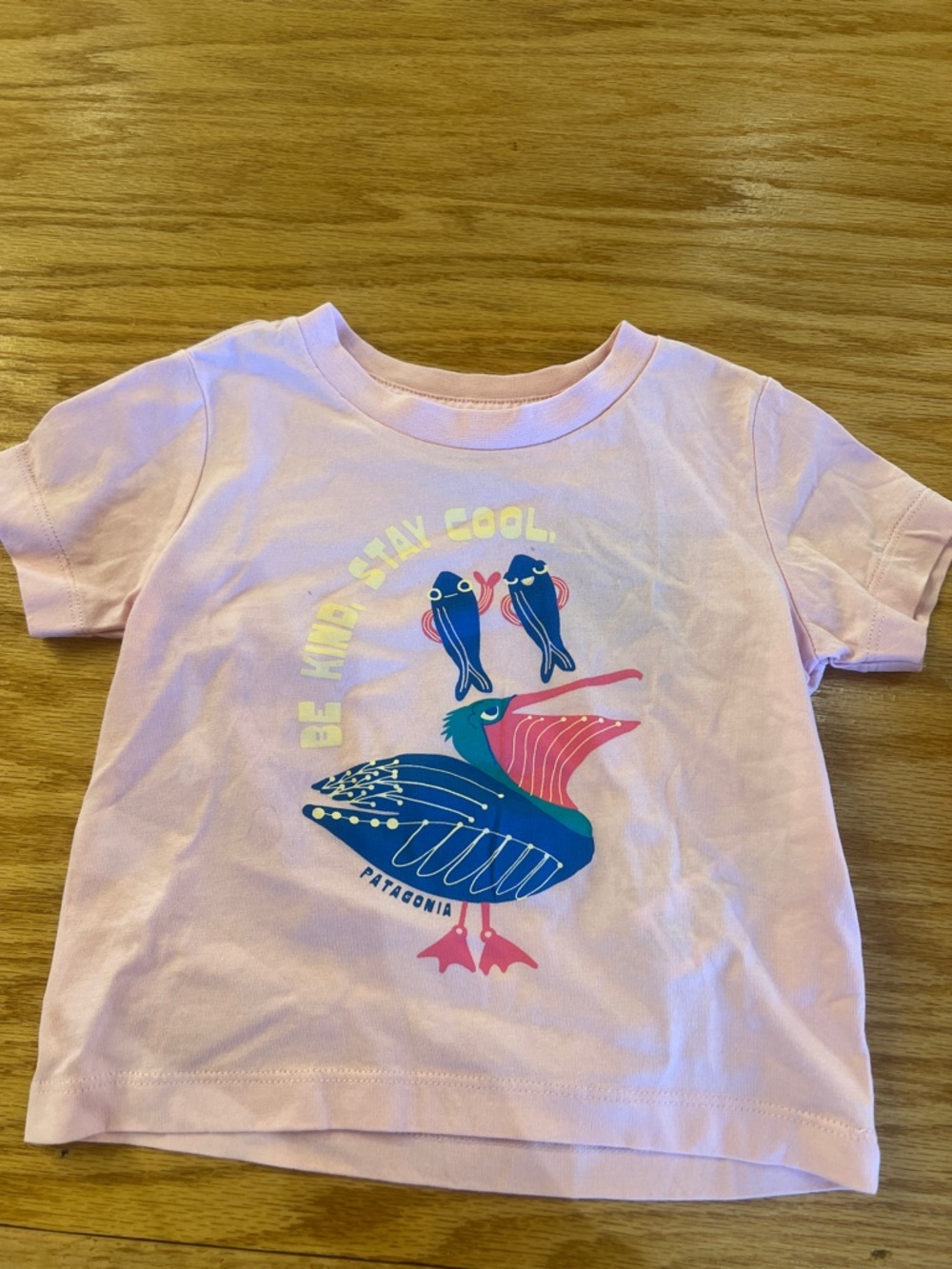NWT Patagonia Kids Light Pink Pelican Graphic Tee
